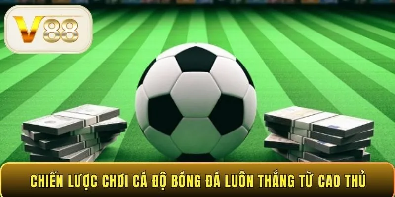 Chiến lược chơi cá độ bóng đá luôn thắng từ cao thủ